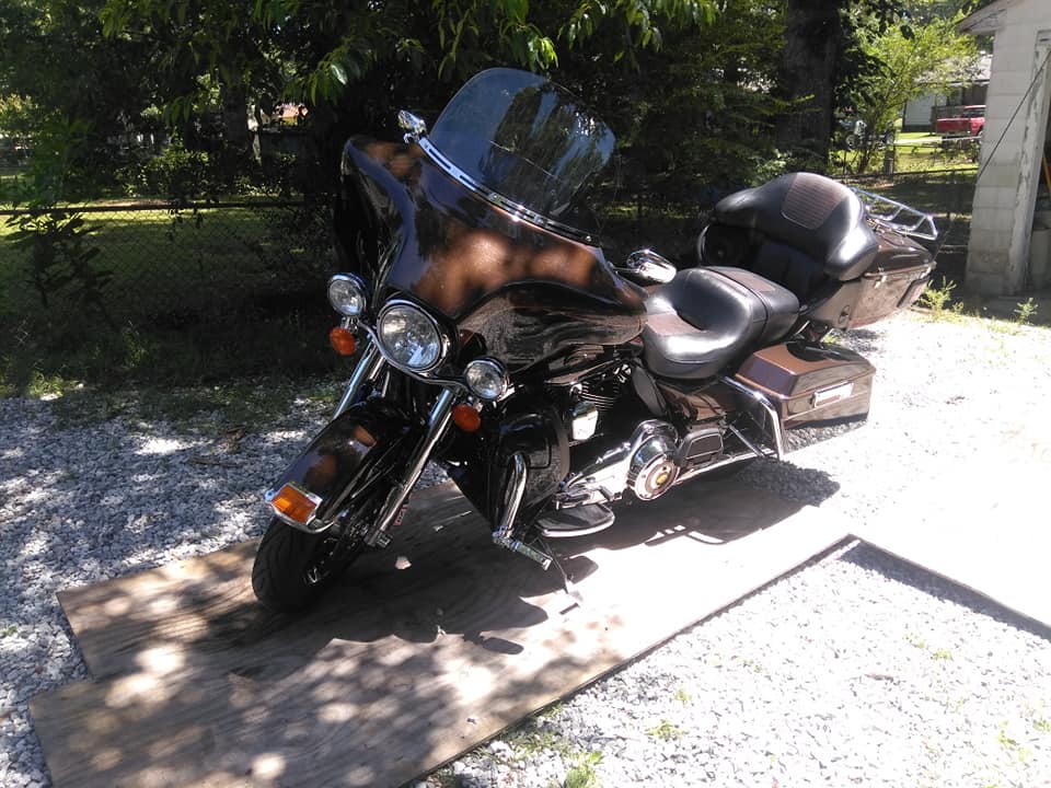 Brown Harley