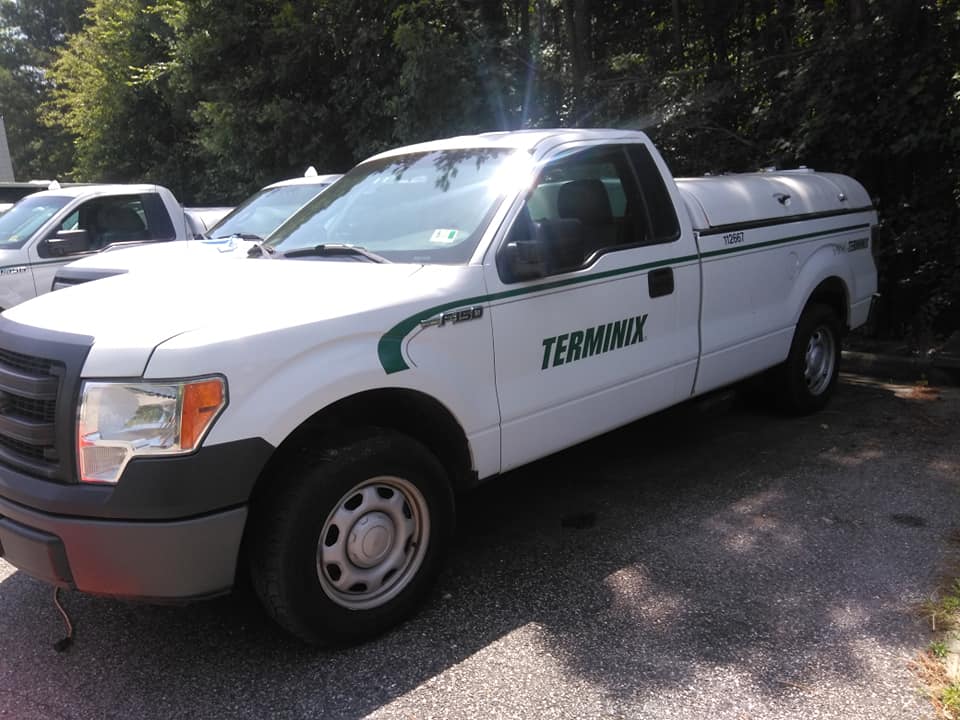 Before Decal Removal
